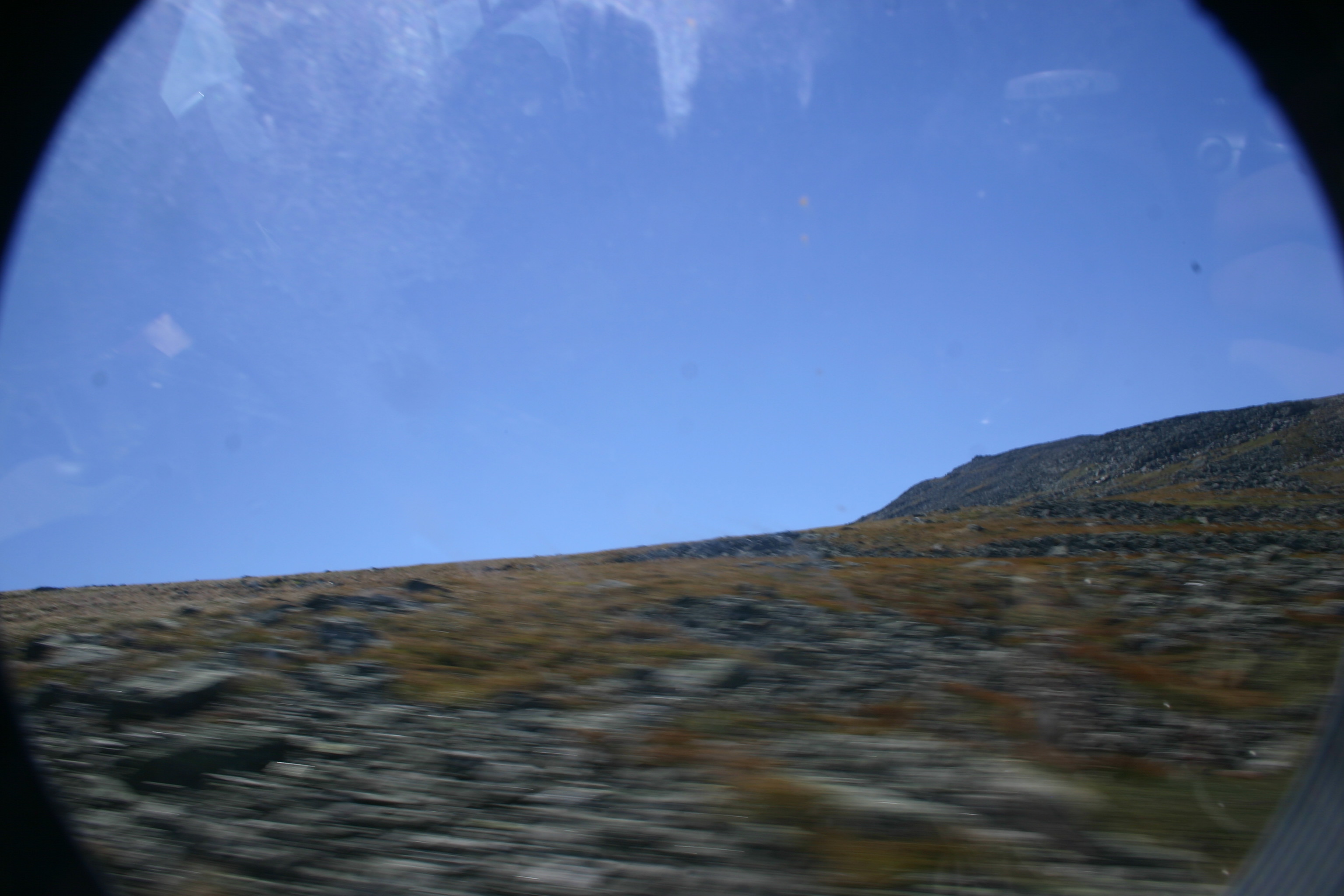 picture 31.